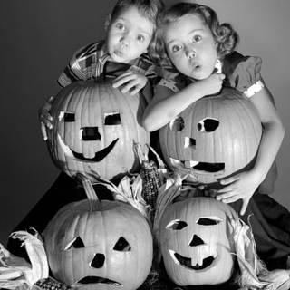 Halloween scary and funny wallpaper