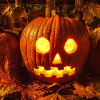 Halloween pumpkin 4k wallpaper