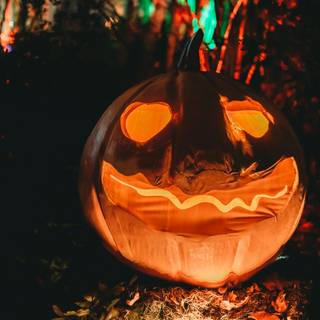 Halloween pumpkin 4k wallpaper