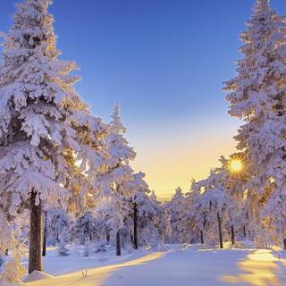 PC HD winter wallpaper