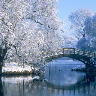PC HD winter wallpaper