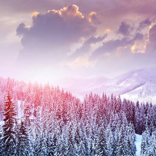 PC HD winter wallpaper