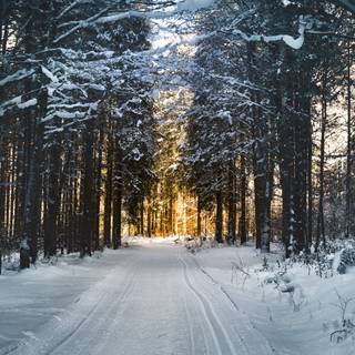 PC HD winter wallpaper