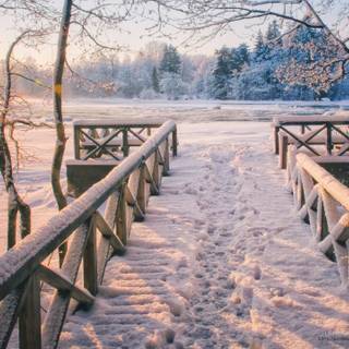 PC HD winter wallpaper