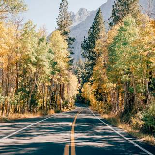 Autumn mountain road wallpaper