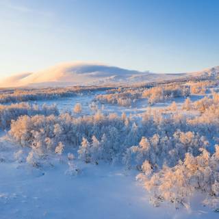PC HD winter wallpaper