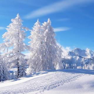 PC HD winter wallpaper