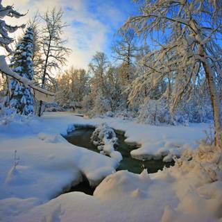 PC HD winter wallpaper