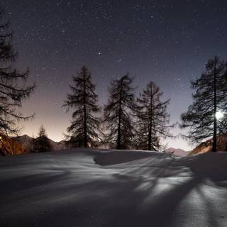 PC HD winter wallpaper