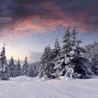 PC HD winter wallpaper