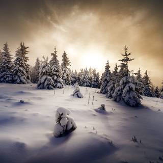 PC HD winter wallpaper