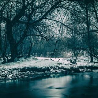 PC HD winter wallpaper