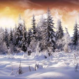 PC HD winter wallpaper