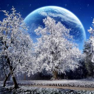PC HD winter wallpaper
