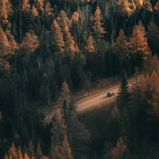 Desktop autumn art wallpaper