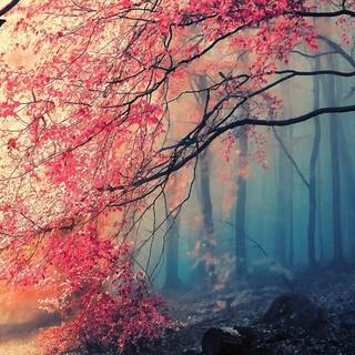 Desktop autumn art wallpaper