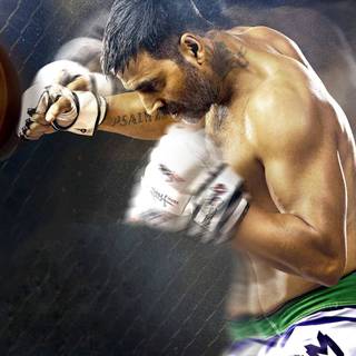 Akshay Kumar martial arts wallpaper