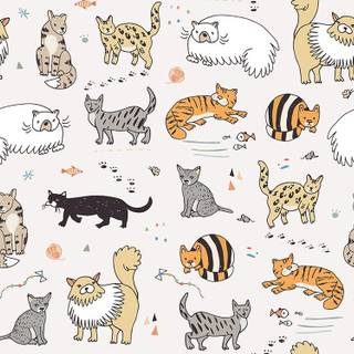 Silly cat drawing wallpaper