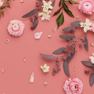 Fall pink computer wallpaper