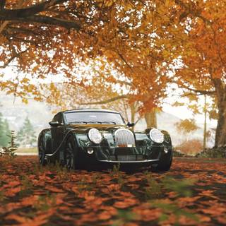 Brown and black cars wallpaper