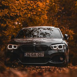 Brown and black cars wallpaper