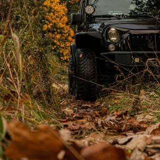 Brown and black cars wallpaper