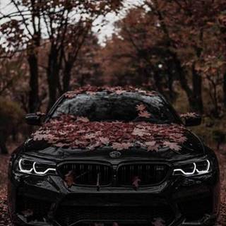 Brown and black cars wallpaper