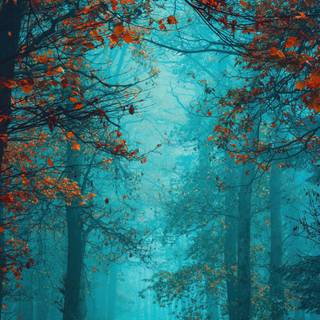 Vertical autumn dark wallpaper