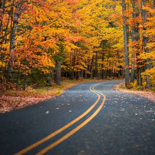 Autumn road HD wallpaper