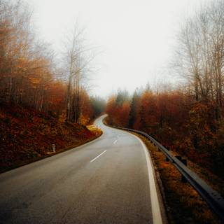 Autumn road HD wallpaper