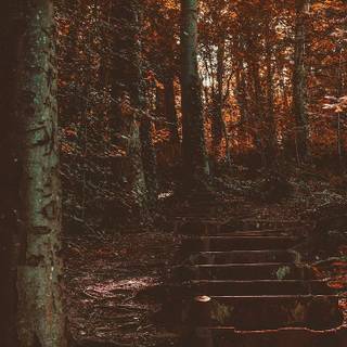 Vintage brown autumn wallpaper