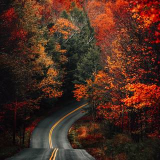 Autumn road HD wallpaper