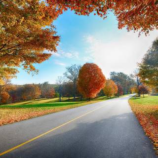 Autumn road HD wallpaper