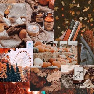 Autumn aesthetic brown wallpaper