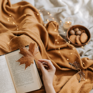 Autumn aesthetic brown wallpaper