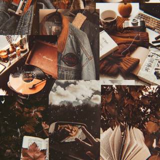 Autumn aesthetic brown wallpaper