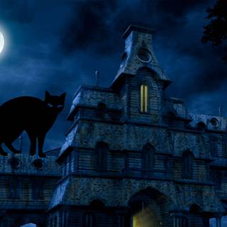 Halloween blue and black wallpaper