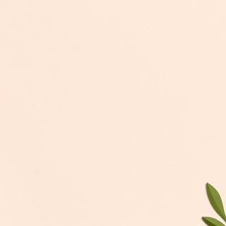 Autumn pastel orange wallpaper