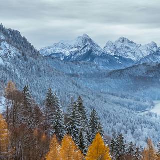 Cloudy autumn iPhone wallpaper