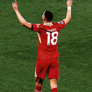 Cody Gakpo 2025 wallpaper