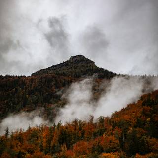 Cloudy autumn iPhone wallpaper