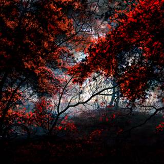 Autumn art 4k wallpaper