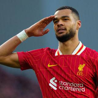 Cody Gakpo 2025 wallpaper