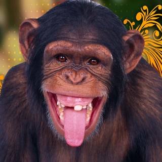 Big black monkey wallpaper