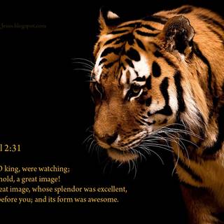 Christian Macbook wallpaper