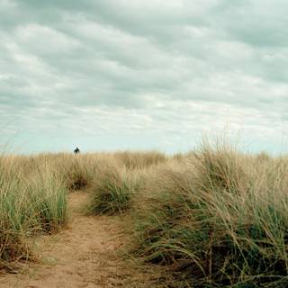 Mark Adams wallpaper