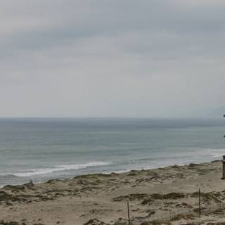 Jane Remover wallpaper