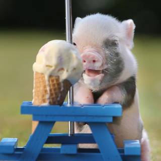 Funny baby animals wallpaper