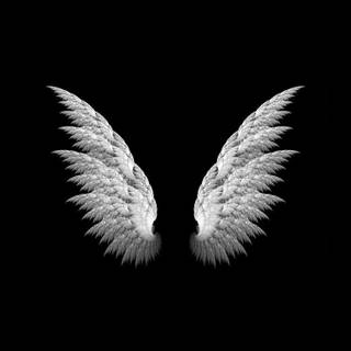 Black and white angel wallpaper