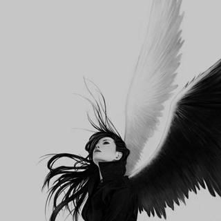 Black and white angel wallpaper
